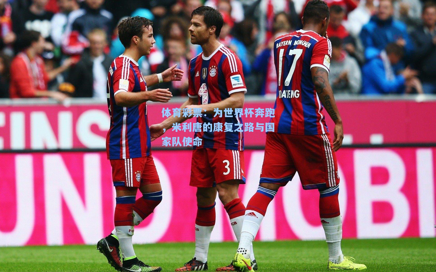 为世界杯奔跑，米利唐的康复之路与国家队使命