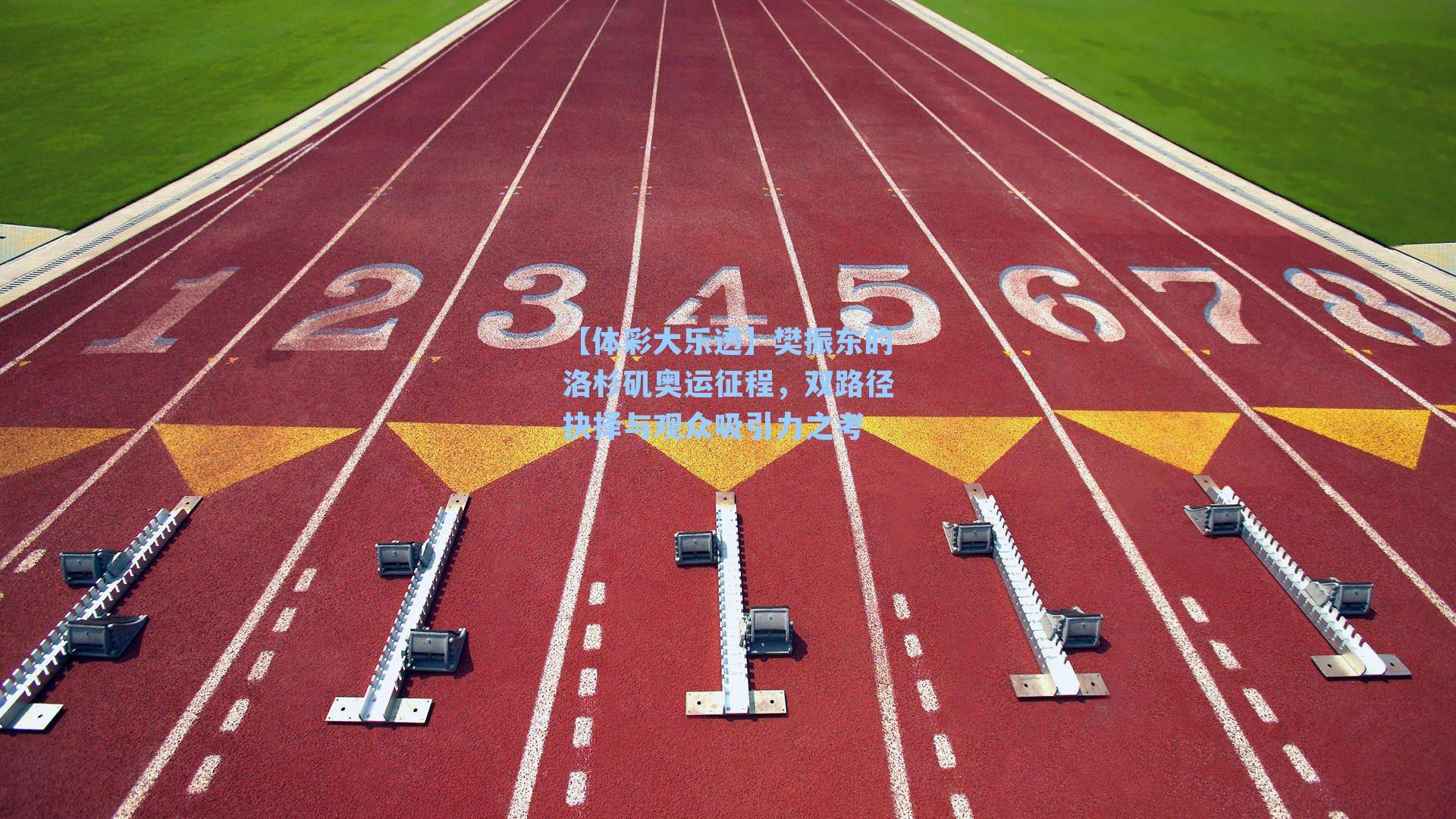 樊振东的洛杉矶奥运征程,双路径抉择与观众吸引力之考